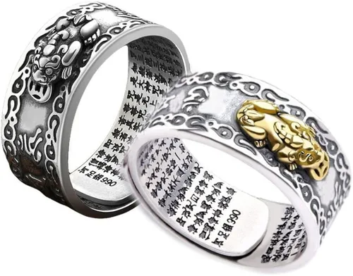 Aeboocag 2 anillos de mantra Feng Shui Pixiu para mujeres y hombres, doble protección, riqueza, amor, salud, amuleto budista de buena suerte,