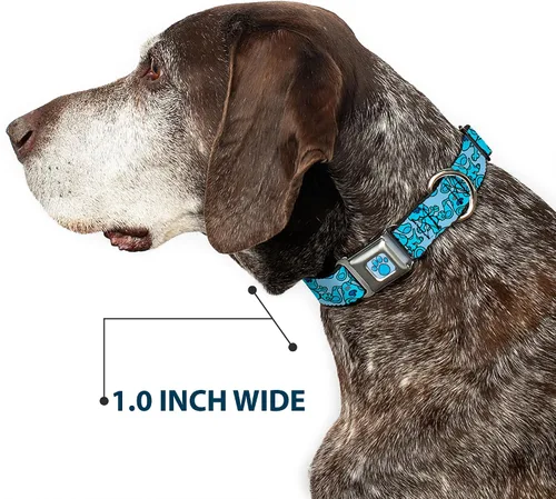 Miniatura 6 de Buckle-Down Collar de perro Hebilla de cinturón de seguridad Blues Clues Blue Poses dispersas 9.5 a 13 pulgadas 1.0 pulgadas de ancho