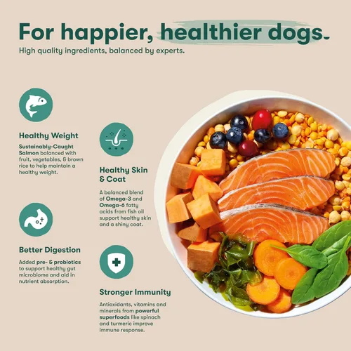 Miniatura 3 de Jinx Comida seca premium para perros de razas pequeñas - Croquetas de salmón real y batata dulce con superalimentos para el apoyo inmunológico