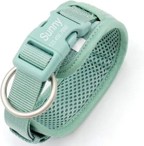 Collares de perro personalizados grabados con nombre y número de teléfono para perros pequeños, medianos y grandes (verde menta, S)