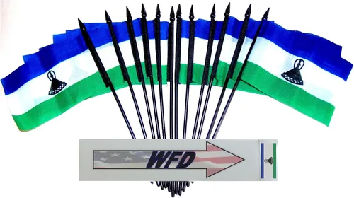 Miniatura 55 de World Flags Direct Banderas en miniatura de poliéster de Afganistán, paquete de 12, decoración de mesa de fiesta, desfiles, 4 x 6 pulgadas, verde