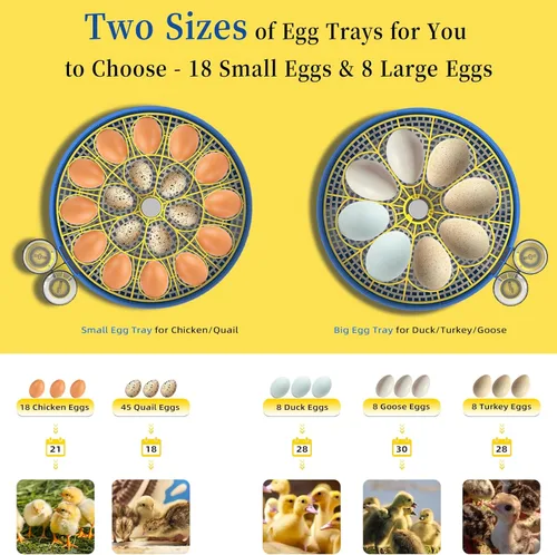 Miniatura 3 de 18 incubadoras de huevos de pollo para incubar huevos con giro automático de huevos y control de humedad, incubadora de aves de corral de alta tasa