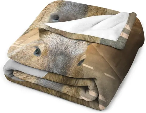 Miniatura 3 de Mantas para niños personalizadas con nombre, mantas pequeñas de 50 x 40 pulgadas para niños, niños y niñas, forro polar de franela suave y mullida