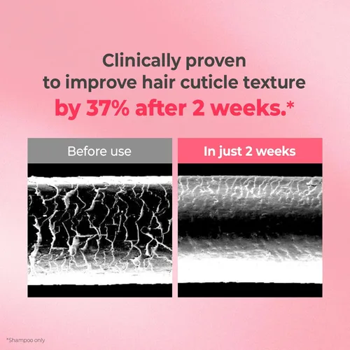 Miniatura 3 de KUNDAL Juego de champú y acondicionador Protein Bonding [Violet Muguet] - Cuidado del cabello coreano, reparación de daños, control
