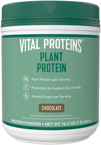 Vital Proteins Proteína en polvo – 0.71 oz de proteína a base de plantas con garbanzos – 1B UFC probiótico para la salud intestinal, sin azúcar