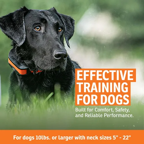 Miniatura 3 de SportDOG Sistema de valla recargable de marca en el suelo, impermeable, collar recargable con tono, vibración y estática, expandible para contener