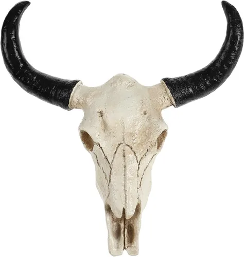 IMIKEYA Decoración de calavera de vaca de Halloween: estatua realista de esqueleto, cabeza de animal, cabeza de toro, cráneo, arte para colgar en la