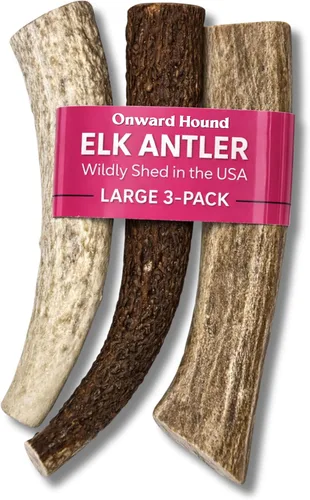 Onward Hound Cuernos de Alce para Perros, 7"+ Grande Paquete de 3, Grado A Masticable de Larga Duración para Masticadores Agresivos, Cuerno Premium