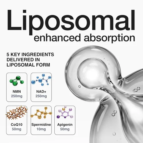 Miniatura 4 de Toniiq Suplemento NMNH – Complejo de 1,000 mg de potencia ultra alta con Uthpeak™ NMNH clínicamente estudiado, resveratrol, quercetina y TMG