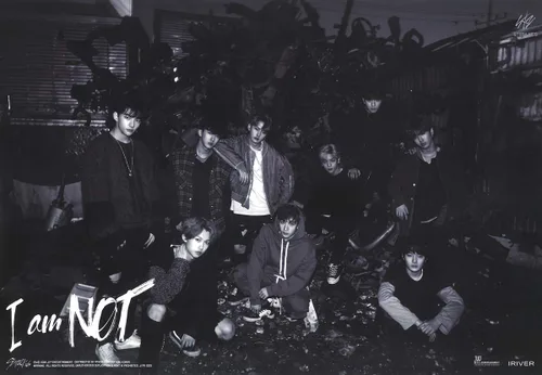 Miniatura 2 de STRAY KIDS - I am NOT [I AM + NOT ver.] (1st Mini Album) 2 CDs+Photobooks+3Photocards+Official Group Folded Poster+2 Extra Photocards+2 BIRDO