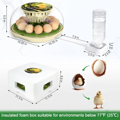 Miniatura 7 de Incubadoras inteligentes de pollo para incubar huevos con volteador automático, aves, pato, codorniz, incubadora de 12 huevos, pantalla de control