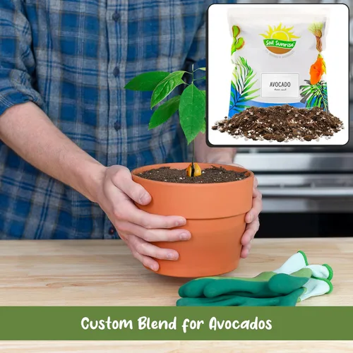 Miniatura 4 de Soil Sunrise Mezcla de Tierra para Macetas de Árbol de Aguacate (12 Cuartos) para Germinar, Cultivar y Trasplantar Plantas de Aguacate