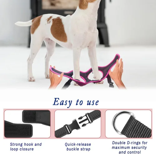 Miniatura 7 de Arnés de Ajuste Cómodo Step-in para Perros y Cachorros - Arnés de Chaleco Cómodo para Perros para Todo Clima: Ajustable, Suavemente Acolchado, Fácil