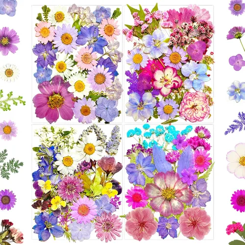 Miniatura 10 de MIKIYA 90 piezas de flores secas prensadas negras para moldes de resina, hojas florales secas a granel naturales reales para manualidades de arte