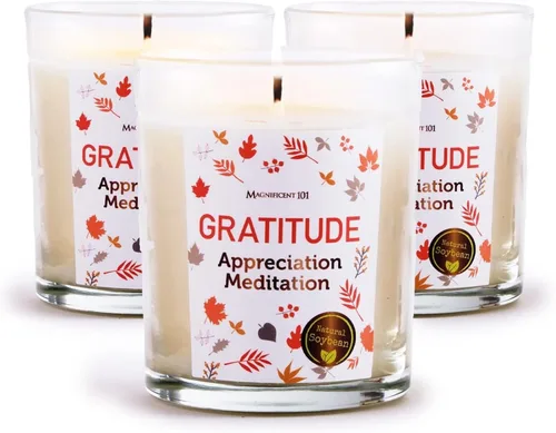 Miniatura 7 de MAGNIFICENT 101 Abundance Mindset - Juego de velas para manchas – 3.5 onzas cada uno (paquete de 3) – Abundance Unlimited Mindset – 42 horas