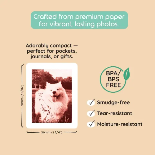 Miniatura 5 de Paquete de impresión Kiimento para Cámara de Impresión Instantánea P2, variedad de 40 impresiones, tarjetas térmicas sin tinta, 78×56 mm vertical