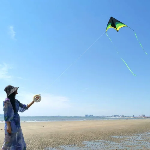 Miniatura 4 de Mint's Colorful Life - Cometa Delta para niños y adultos, cometa extremadamente fácil de volar, las mejores cometas para principiantes