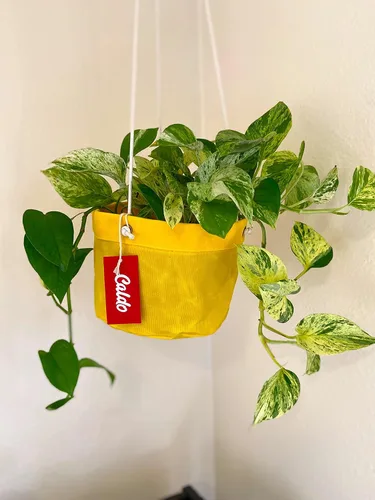 Miniatura 4 de Caldo Dos perchas para plantas, perfectas para decoración de interiores o exteriores (amarillo)