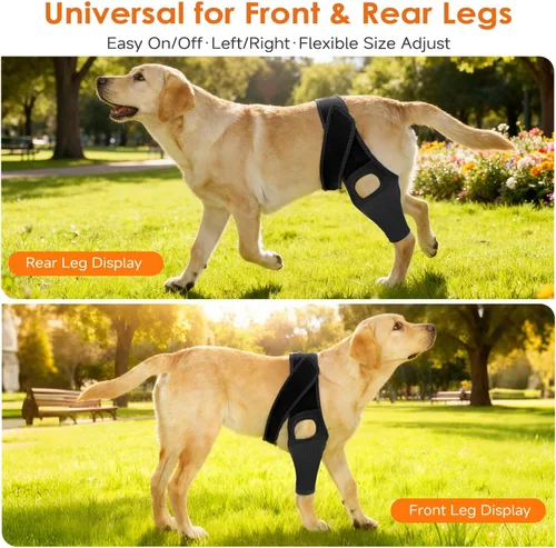 Miniatura 4 de Jorme Rodillera para perro para pierna trasera desgarrada del ligamento cruzado anterior, de neopreno transpirable con velcro ajustable y banda