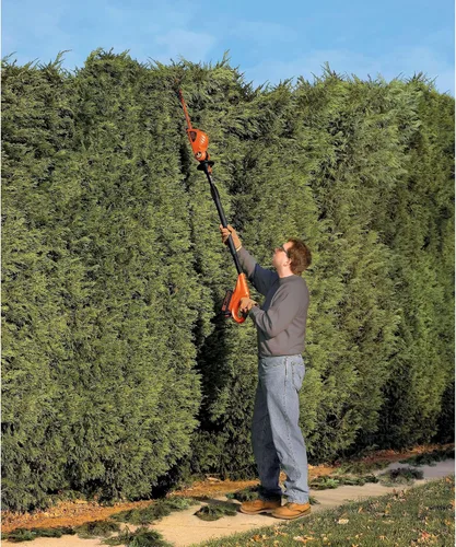 Miniatura 8 de BLACK+DECKER 20V MAX Motosierra de poste inalámbrica, 18 pulgadas (LPHT120)