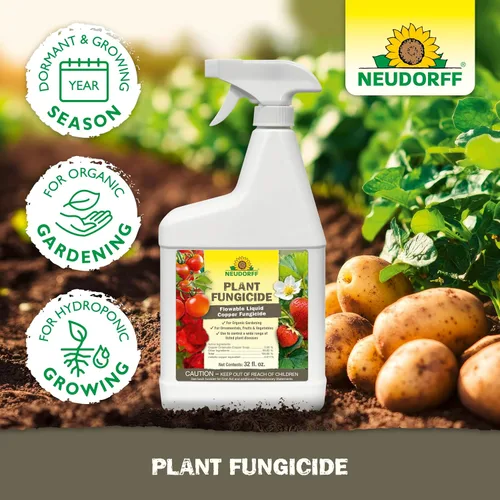 Miniatura 6 de Neudorff Spray fungicida para plantas, fungicida de jabón de cobre para rosas, frutas y verduras para controlar el moho polvoriento y otras