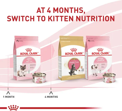 Miniatura 5 de Royal Canin Feline Health Nutrition Mother & Babycat Queen - Mousse en salsa ultra suave para gatos, 3 onzas (paquete de 6)