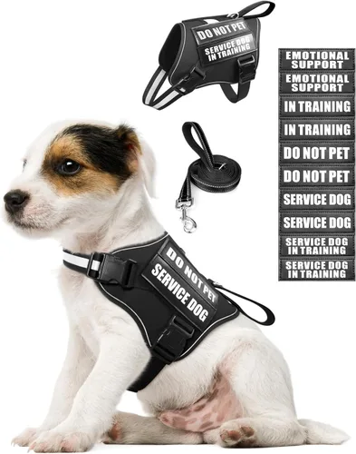 Arnés de chaleco para perro de servicio MOOGROU y juego de correa+10 parches para cachorros y perros pequeños, chaleco para perro de apoyo emocional