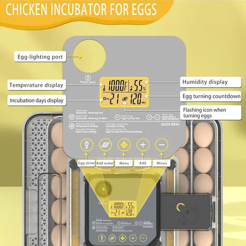 Miniatura 7 de Incubadoras para incubar huevos Incubadora de 48 huevos con giro automático y control de humedad para pollo, vela de huevo para huevos de gallina