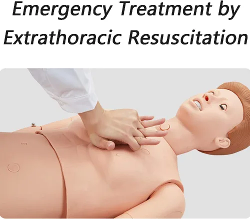 Miniatura 6 de Maniquí de entrenamiento de habilidades de enfermería, cuidado del paciente, tamaño real, 67 pulgadas, maniquí de cuerpo completo para enfermería