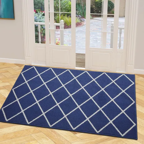 Miniatura 36 de Finchitty Alfombra para Puerta Interior, Resistente a la Suciedad y Absorbente, de Perfil Bajo, Antideslizante, Lavable, Alfombras de Piso