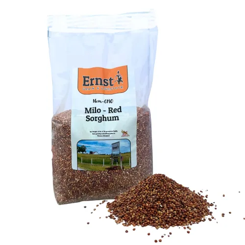 Ernst Grain & Livestock Milo, sorgo rojo, sin OMG, perfecto para cultivadores de hongos, 10 libras