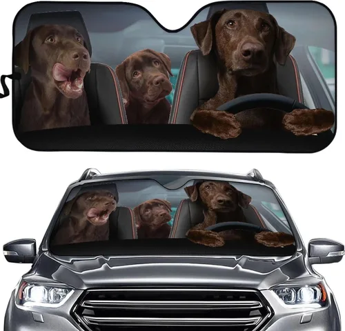 Miniatura 26 de SEANATIVE Parasol divertido para parabrisas de automóvil, protección contra rayos UV, protector de ventana delantera, diseño de ojos enojados