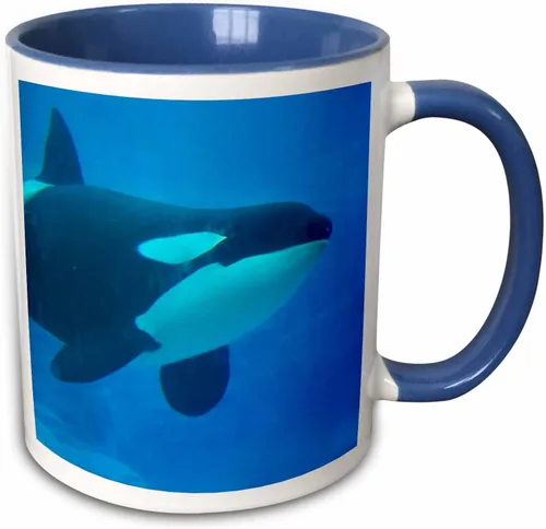 Miniatura 11 de 3dRose Orca Killer Whale - Taza de cerámica azul subacuática, 11 onzas