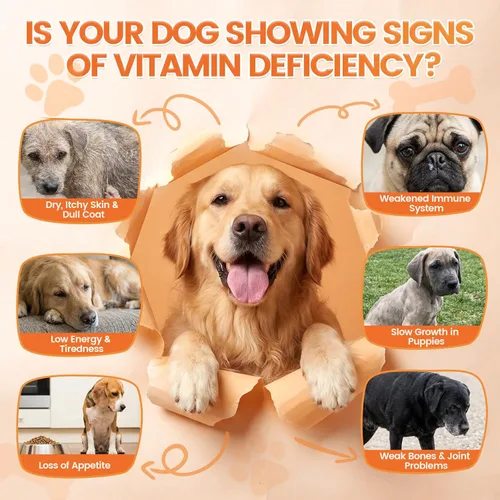 Miniatura 6 de Multivitamínico para perros, 500 masticables crujientes y sabrosos, apoya la energía diaria, la salud del corazón, la piel y el pelaje con taurina