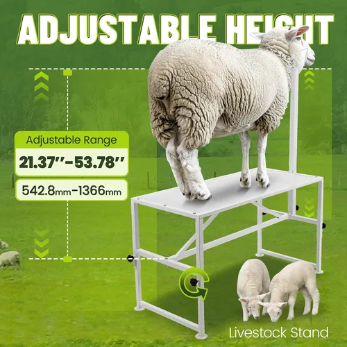 Miniatura 5 de Kojem Soporte para ganado de ovejas de 51 x 23 pulgadas, soporte de ordeño de cabra, soporte de recorte para ovejas y corderos, altura ajustable