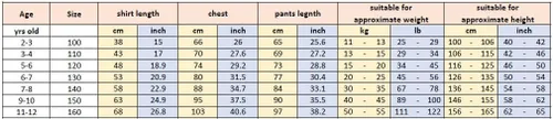 Miniatura 2 de Conjunto de uniforme chino de Kung Fu Maestro Tai Chi Dragón Chino para niños y niñas
