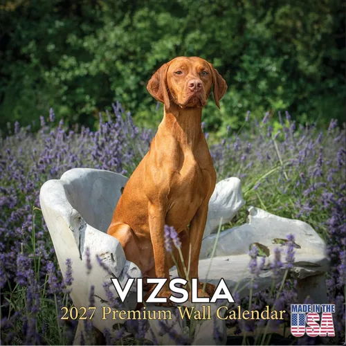 Miniatura 140 de Calendario amarillo 2025 2026 de Labrador Pups – Calendario mensual de pared de raza de perro – 12" x 24" abierto – Papel grueso anti-traspaso