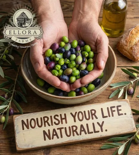 Miniatura 8 de Ellora Farms, Aceite de oliva virgen extra griego PDO, origen único, variedad única, aceite de oliva prensado en frío y rastreable, cosechado