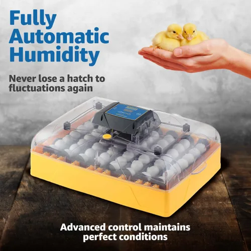 Miniatura 5 de Brinsea Ovation 56 EX Incubadora de Huevos con Control Automático de Humedad y Giro de Huevos para Incubar 56 Huevos de Gallina, Pato, Otros Huevos