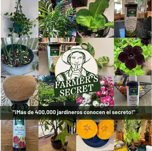 Miniatura 5 de Farmer’s Secret Fertilizante de Frutas y Estimulación de Floración (8oz) - Súper Concentrado - Aumenta la Floración y el Rendimiento en Todas