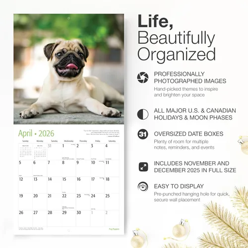 Miniatura 2 de RED EMBER Pug Puppies - Calendario de pared 2026 de 12 meses 12 x 24 pulgadas abierto Papel grueso y resistente Regalo Lindo calendario