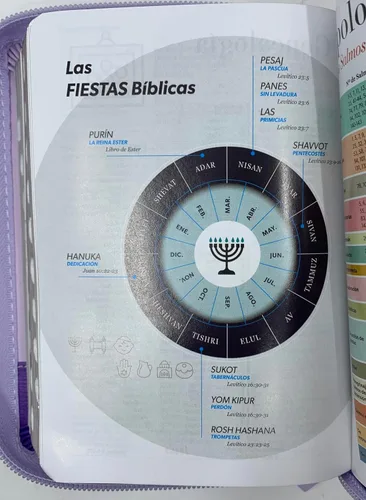 Miniatura 5 de biblia tamaño bolsillo reina valera 1960 lila/ flores cierre con indice piel imitacion 8 puntos Imitation Leather – 1 Enero 2023