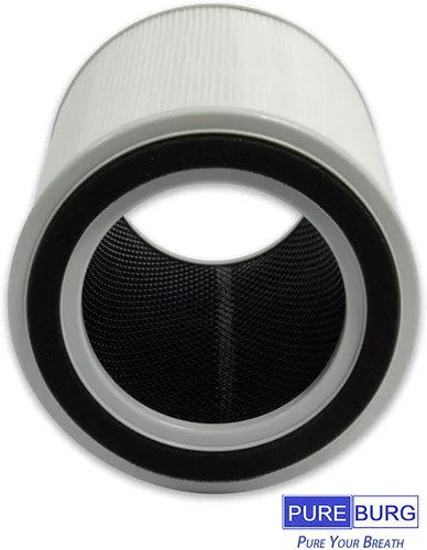 Miniatura 6 de PUREBURG Filtro de repuesto TPAP001 compatible con el purificador de aire TOPPIN Comfy Air C2, paquete de 2 unidades de carbón activado H13 True