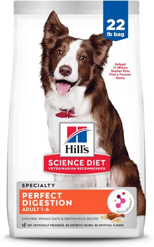 Hill's Science Diet Digestión perfecta, para perros adultos de 1 a 6 años, apoyo digestivo, alimento seco para perros, pollo, arroz integral y avena