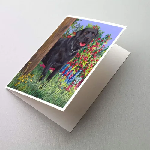 Miniatura 70 de Caroline's Treasures PPP3013GCA7P - Tarjetas de felicitación y sobres para mascotas de Basset Hound Teacher, paquete de 8 tarjetas en blanco