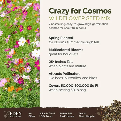 Eden Brothers Crazy for Cosmos - Semillas mixtas de flores de cosmos para plantar, 50 lb, más de 24,000,000 semillas con Cosmos Gloria, Pinkie,