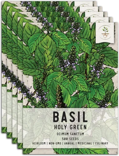 Miniatura 16 de Seed Needs Semillas de albahaca para plantar hierbas de albahaca tailandesa, sin OMG y semillas de hierbas sin tratar para cultivar un jardín