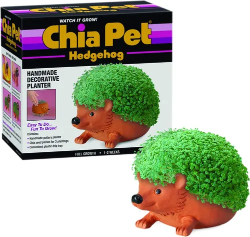 Miniatura 6 de Chia Pet Bear Cub con paquete de semillas, maceta decorativa de cerámica, fácil de hacer y divertido de cultivar, regalo novedoso, perfecto