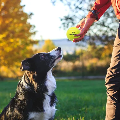 Miniatura 6 de Pelotas de tenis para perros, paquete de 12 pelotas interactivas chirriantes de 2.5 pulgadas para perros pequeños, medianos y grandes, juguetes
