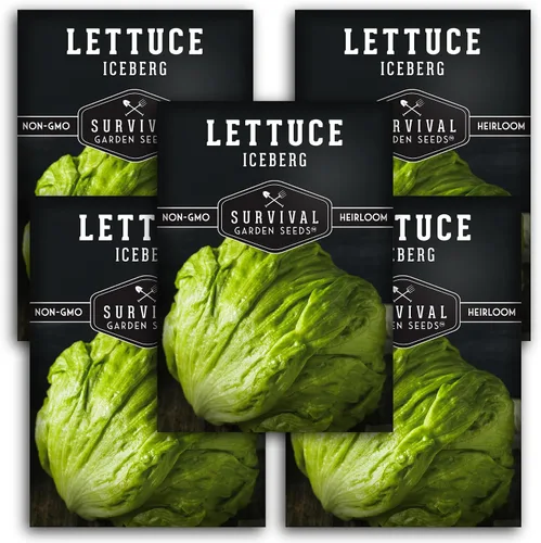 Miniatura 11 de Paquete de 1 semilla de lechuga iceberg para plantar, paquete con instrucciones para cultivar lechuga crujiente en tu huerto casero, variedad